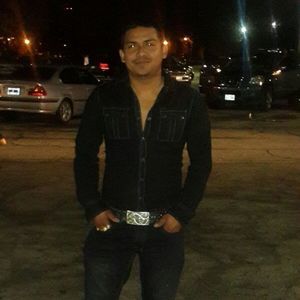 Meet your Posher, Delfino